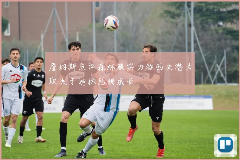 詹姆斯点评森林狼实力称西决潜力取决于迪林厄姆成长