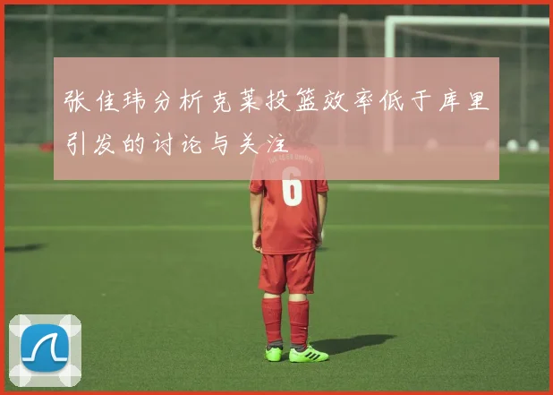 张佳玮分析克莱投篮效率低于库里引发的讨论与关注