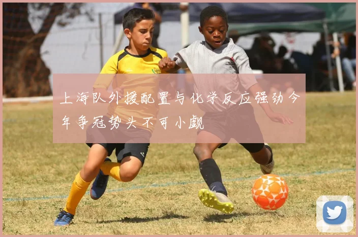上海队外援配置与化学反应强劲今年争冠势头不可小觑
