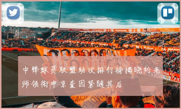 中锋球员联盟助攻排行榜揭晓约老师领衔申京奎因紧随其后