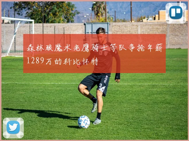 森林狼魔术老鹰骑士等队争抢年薪1289万的科比怀特